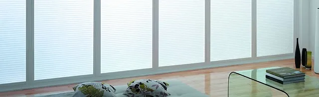 New Blinds