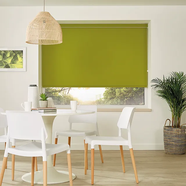 Green Roller Blind