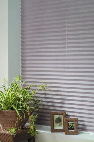 Pleated Blinds