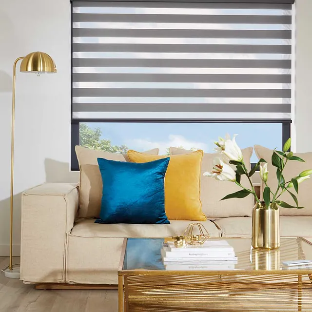 Vision Window Blind