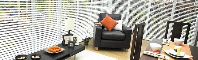 Living Room venetian blinds